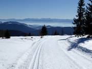 Pista da fondo sulla Hochrindl