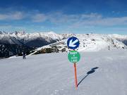 Easy Skier Line per principianti