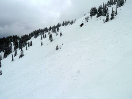 Comprensori sciistici per sciatori esperti e freeriding Columbia-Shuswap – Sciatori esperti, freerider Revelstoke Mountain Resort
