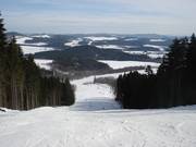 Ampia discesa tra radure boschive