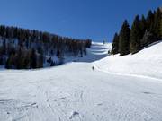 Pista difficile n. 5 Strafaiole