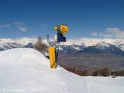Cannoni da neve a Veysonnaz