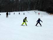 Piste facili presso la sciovia Muli 1