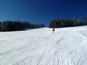 Discesa di media difficoltà presso lo skilift Kleiner Almberg