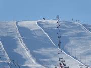 Pista Maaliman Cup (n. 25)