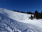 Pendio di neve fresca presso la Gorialm