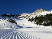 Ottima preparazione delle piste