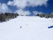 Pista presso la seggiovia Apex Express