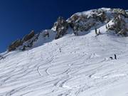 Pendii di neve fresca nel Mineral Basin