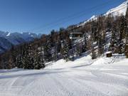 Stazione intermedia Tarlenta