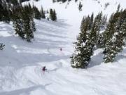 Pista ripida presso la seggiovia Supreme