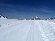 Pista da fondo sul Stoos con vista sui Mythen