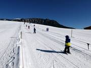 Kollerlift (impianto di risalita per principianti)