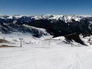 Larkspur nella Montezuma Bowl