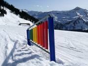 Suggerimento per i più piccoli 