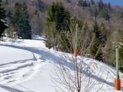 Köpflelift - Skilift a piattello