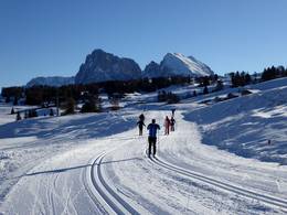 Alpe di Siusi (Seiser Alm)