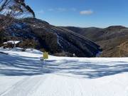 Pista difficile Black Snake