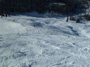 Neve fresca presso la Schwarzloferalm