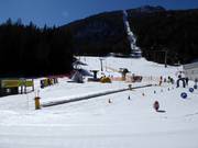 Suggerimento per i più piccoli 