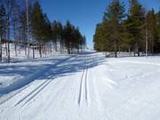 Pista da fondo a Stöten