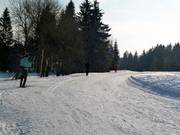 Pista da fondo alla Bleamlalm