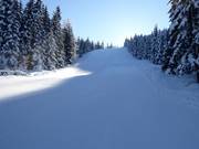 Breve pista nera Grebenzenschuss