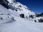 Pista facile presso lo skilift Grünsee