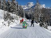 Percorso avventura filZOO