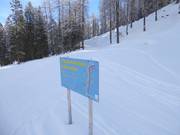 Pista da fondo in quota Schlickeralm: idilliaca nel bosco di montagna