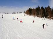 Discesa facile presso lo skilift Almwiesenlift