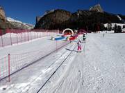 Mickey Mouse - Manovia/Babylift a fune bassa