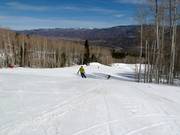 Discesa Lover’s Lane