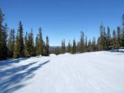 Pista molto facile nel comprensorio sciistico di Trysil