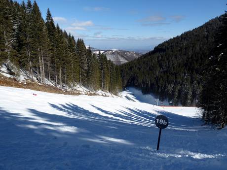 Comprensori sciistici per sciatori esperti e freeriding Alpi Dinariche – Sciatori esperti, freerider Kopaonik