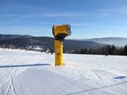 Lancia da neve all'Arber