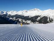 Pista appena preparata a See