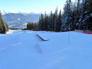 Rogers Terrain Park at Marmot Basin
