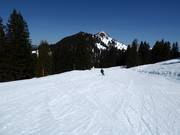 Pista facile Melchboden