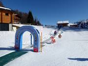 Tappeto magico nel regno dei coniglietti di Snowli