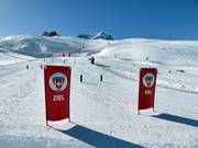 Suggerimento per i più piccoli 