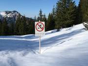 Protezione della foresta