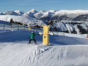 Suggerimento per i più piccoli 