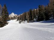 Pista perfetta a San Martino di Castrozza