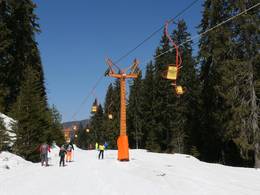 #3 Malina - Studenets