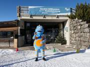 Suggerimento per i più piccoli 