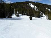 Perfettamente preparato