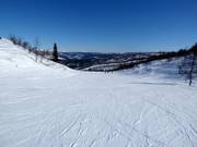 Pista Eiva n. 52 (Vestlia)