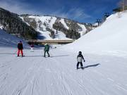 Pista facile Trainer