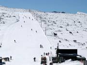 Markudjik 0 - Skilift a piattello